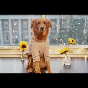 Meet your Posher, Jacob